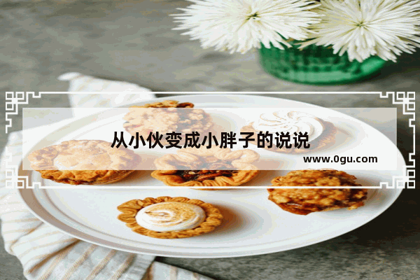 从小伙变成小胖子的说说