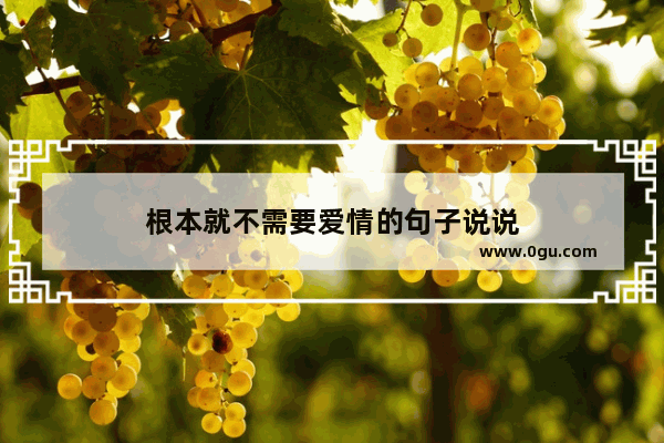 根本就不需要爱情的句子说说