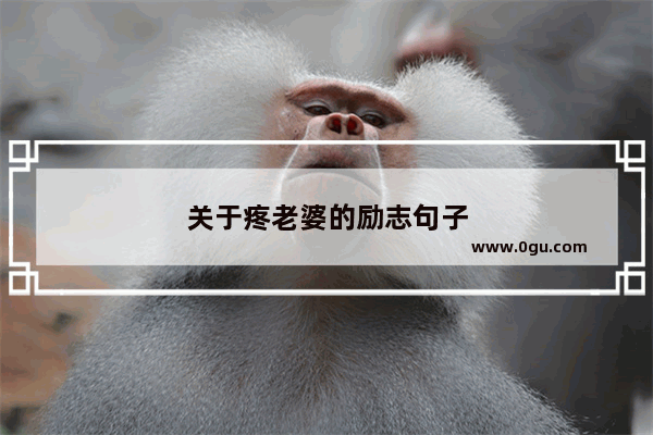 关于疼老婆的励志句子