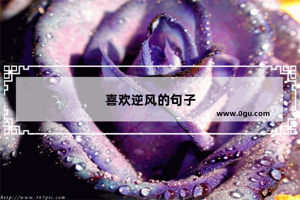 喜欢逆风的句子