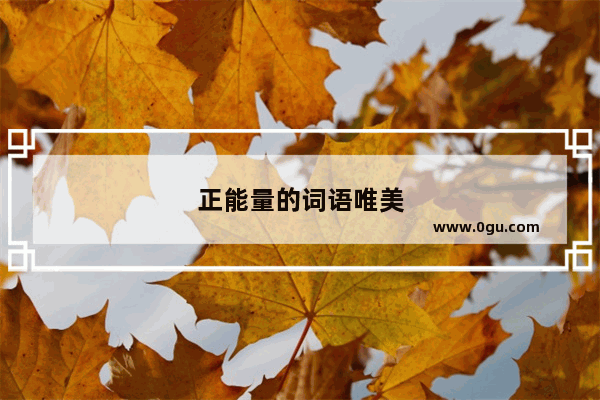 正能量的词语唯美