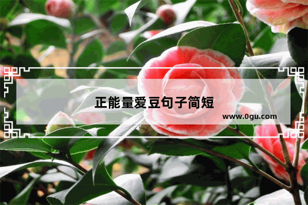 正能量爱豆句子简短