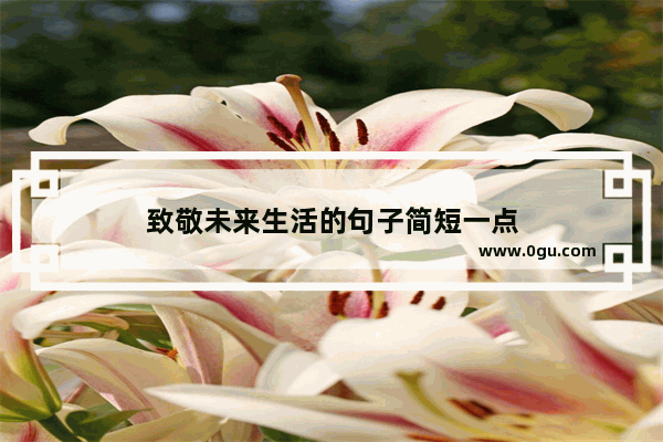 致敬未来生活的句子简短一点