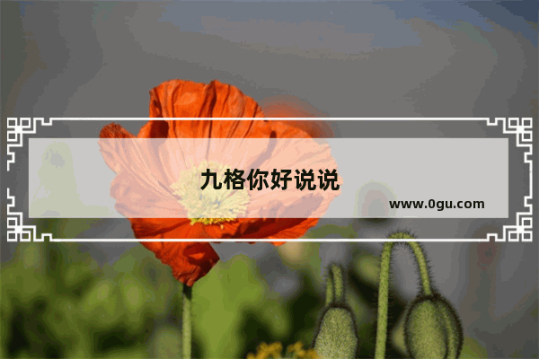 九格你好说说
