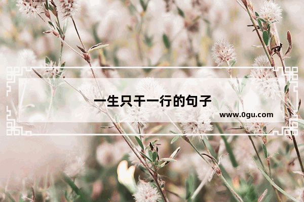 一生只干一行的句子
