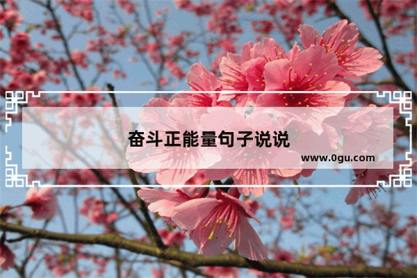 奋斗正能量句子说说