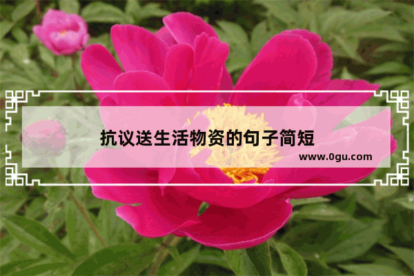 抗议送生活物资的句子简短