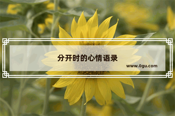 分开时的心情语录