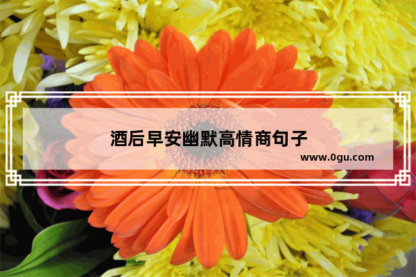 酒后早安幽默高情商句子
