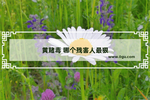 黄赌毒 哪个残害人最狠