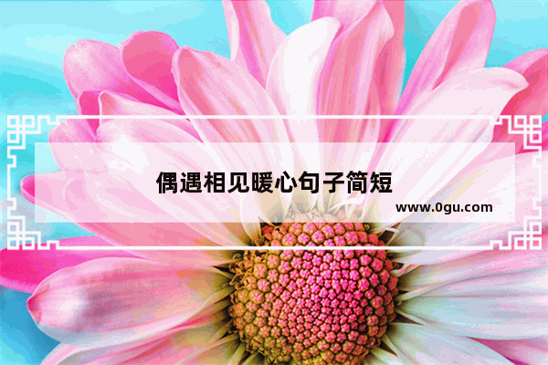 偶遇相见暖心句子简短