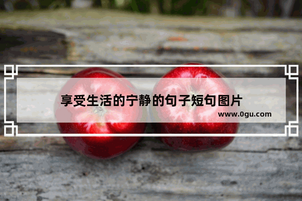享受生活的宁静的句子短句图片
