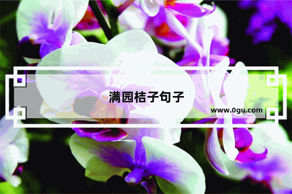 满园桔子句子
