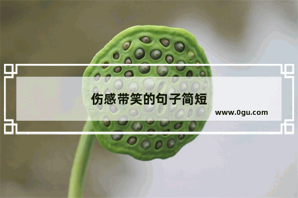 伤感带笑的句子简短