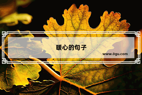 暖心的句子