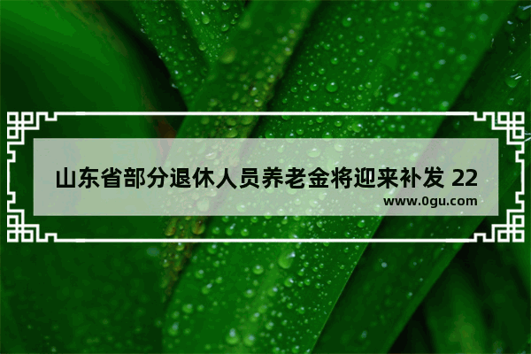 山东省部分退休人员养老金将迎来补发 2200元养老金补多少