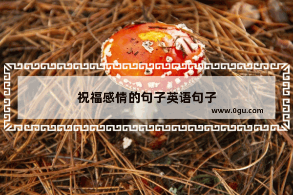 祝福感情的句子英语句子