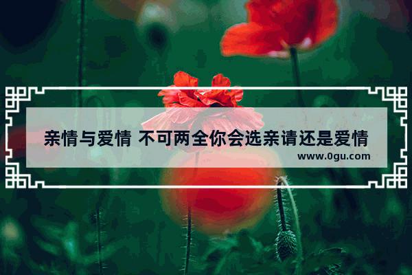 亲情与爱情 不可两全你会选亲请还是爱情