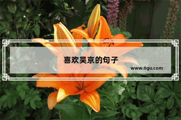 喜欢吴京的句子