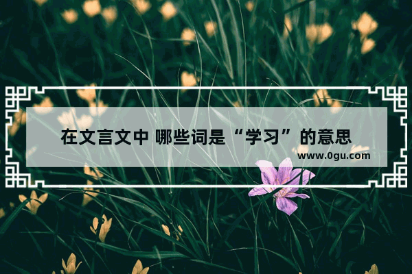 在文言文中 哪些词是“学习”的意思