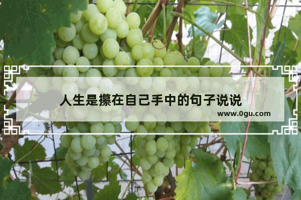 人生是攥在自己手中的句子说说