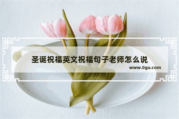 圣诞祝福英文祝福句子老师怎么说