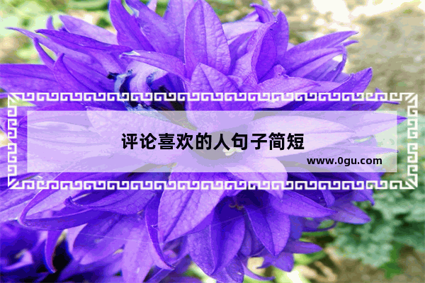 评论喜欢的人句子简短