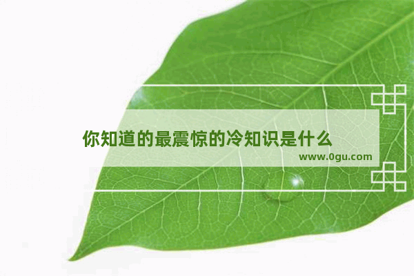 你知道的最震惊的冷知识是什么