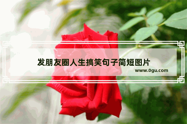 发朋友圈人生搞笑句子简短图片