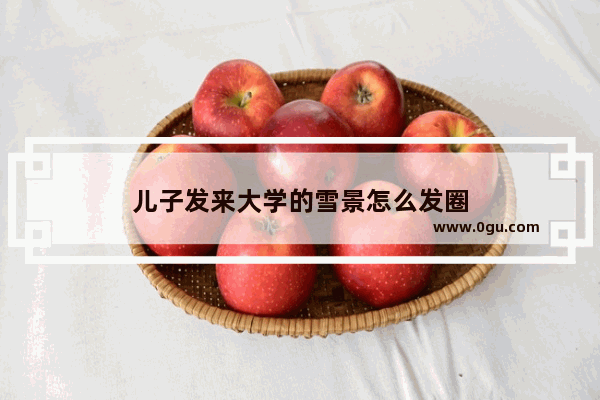 儿子发来大学的雪景怎么发圈