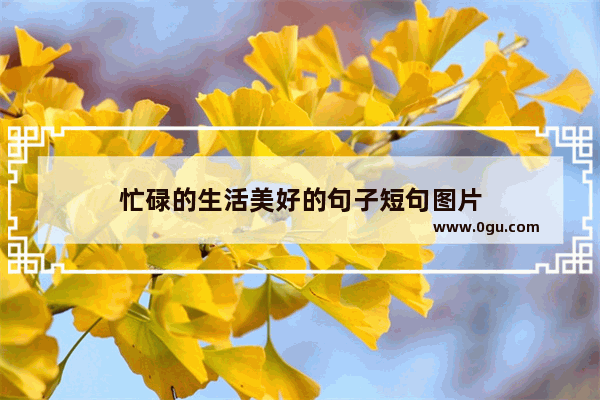忙碌的生活美好的句子短句图片