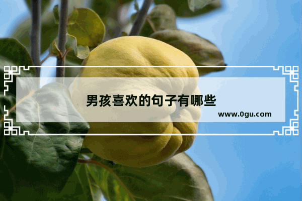 男孩喜欢的句子有哪些