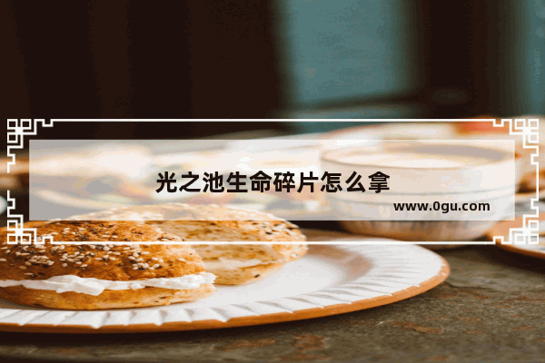 光之池生命碎片怎么拿