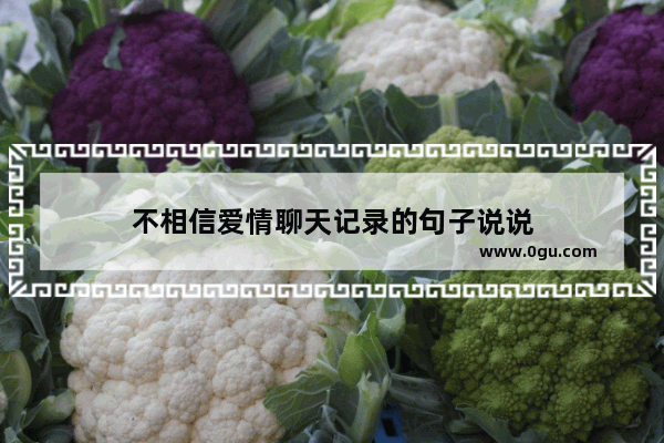 不相信爱情聊天记录的句子说说