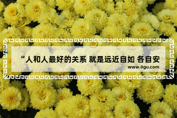 “人和人最好的关系 就是远近自如 各自安好”你怎么看