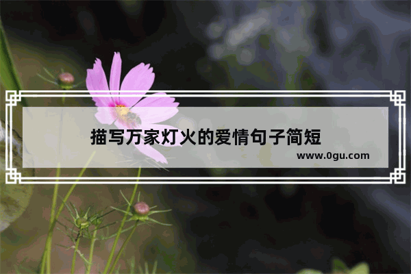 描写万家灯火的爱情句子简短
