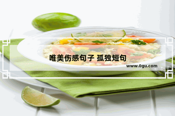 唯美伤感句子 孤独短句