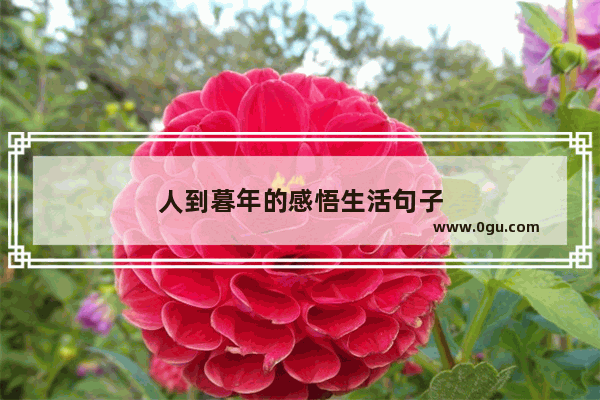 人到暮年的感悟生活句子
