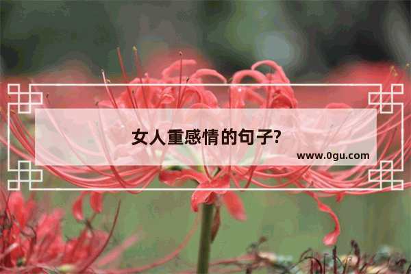 女人重感情的句子?