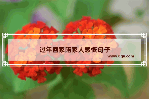过年回家陪家人感慨句子