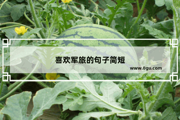 喜欢军旅的句子简短
