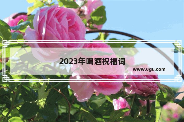 2023年喝酒祝福词