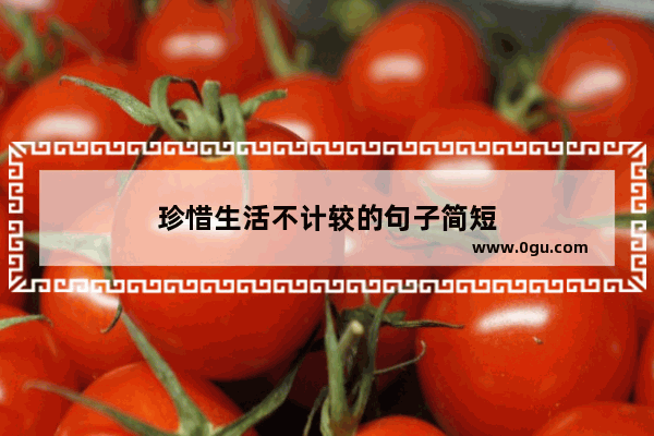 珍惜生活不计较的句子简短