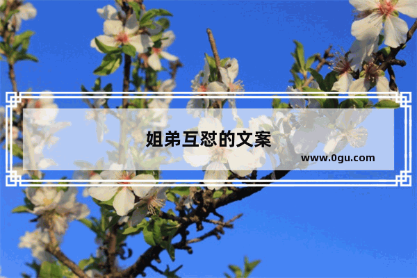 姐弟互怼的文案