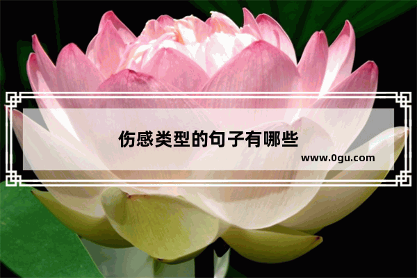 伤感类型的句子有哪些
