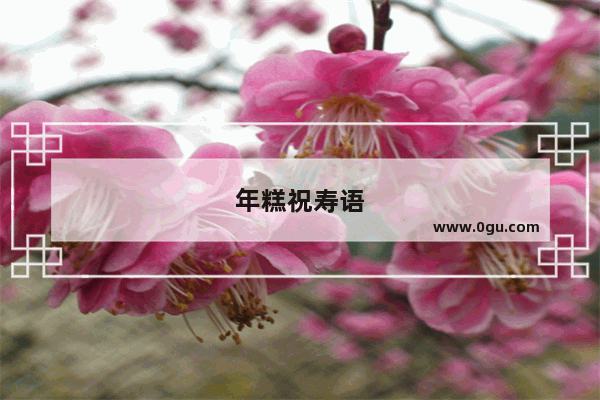年糕祝寿语