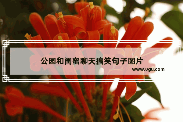 公园和闺蜜聊天搞笑句子图片