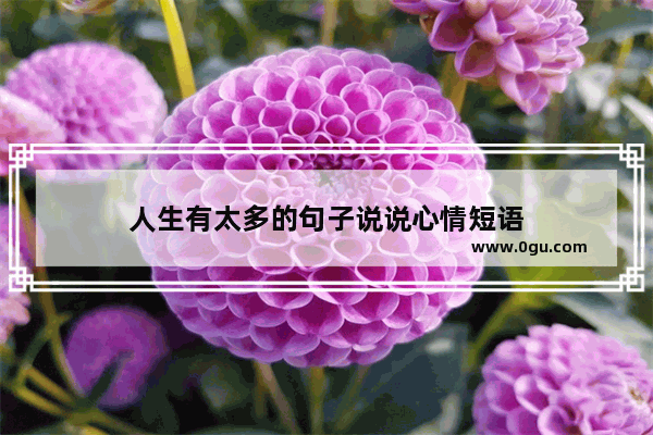 人生有太多的句子说说心情短语