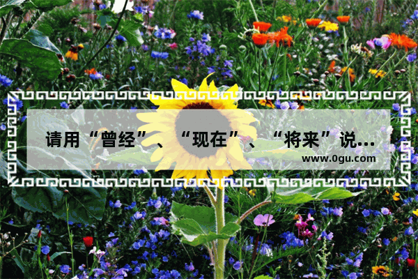 请用“曾经”、“现在”、“将来”说一个最简单但是最悲伤的故事 你会怎么说