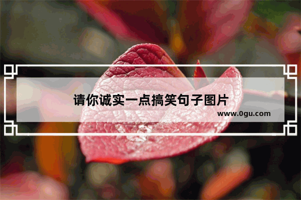 请你诚实一点搞笑句子图片